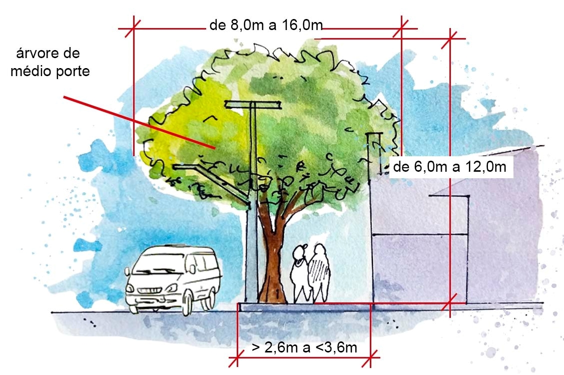 Calçada com árvore de médio porte